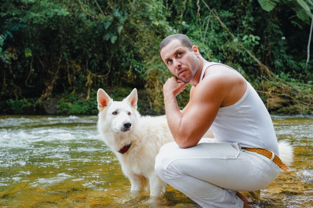 dieren fotografie honden